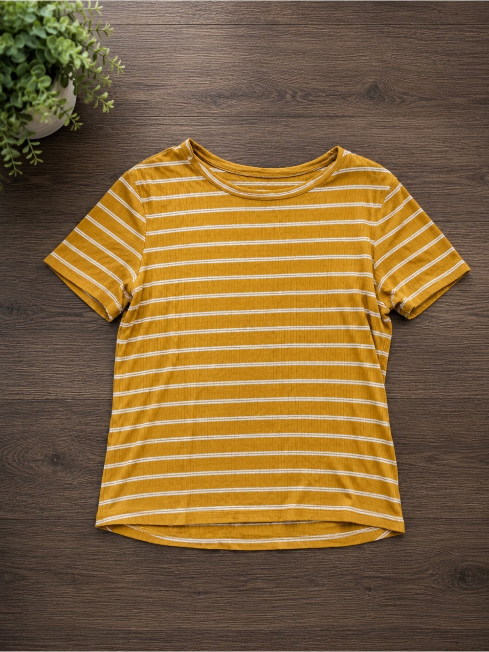 American Eagle Outfitters Mustard and White Striped Short Sleeve Tee